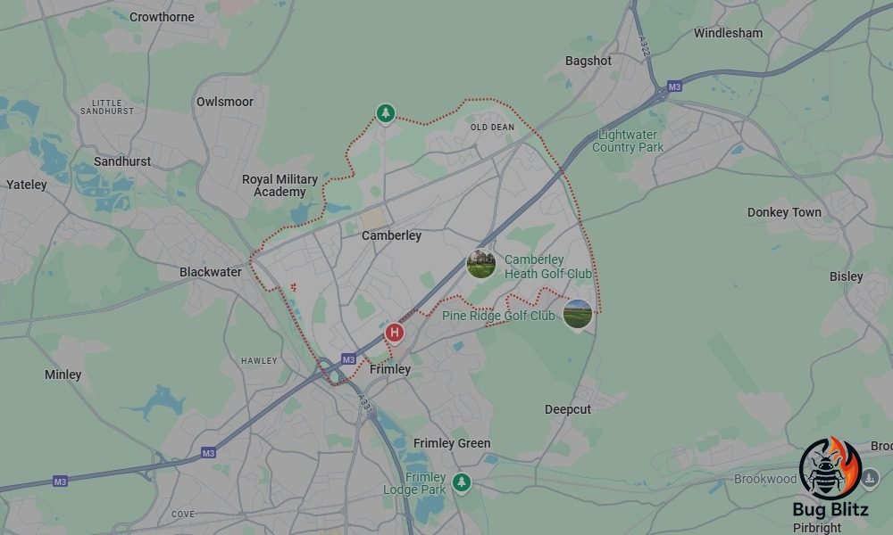 Bed Bug Heat Treatment Services for Camberley, Surrey