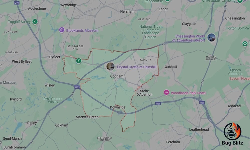 Bed Bug Heat Treatment Services for Cobham, Surrey