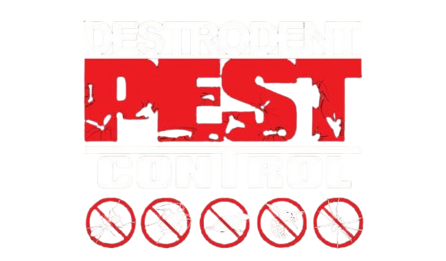 Destrodent - Professional Pest Control since 2007