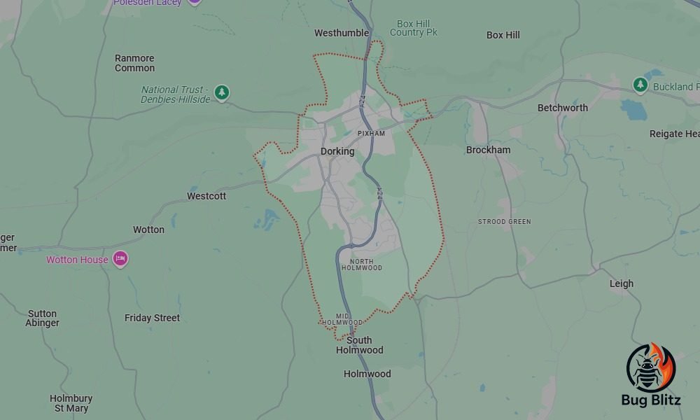 Bed Bug Heat Treatment Services for Dorking, Surrey