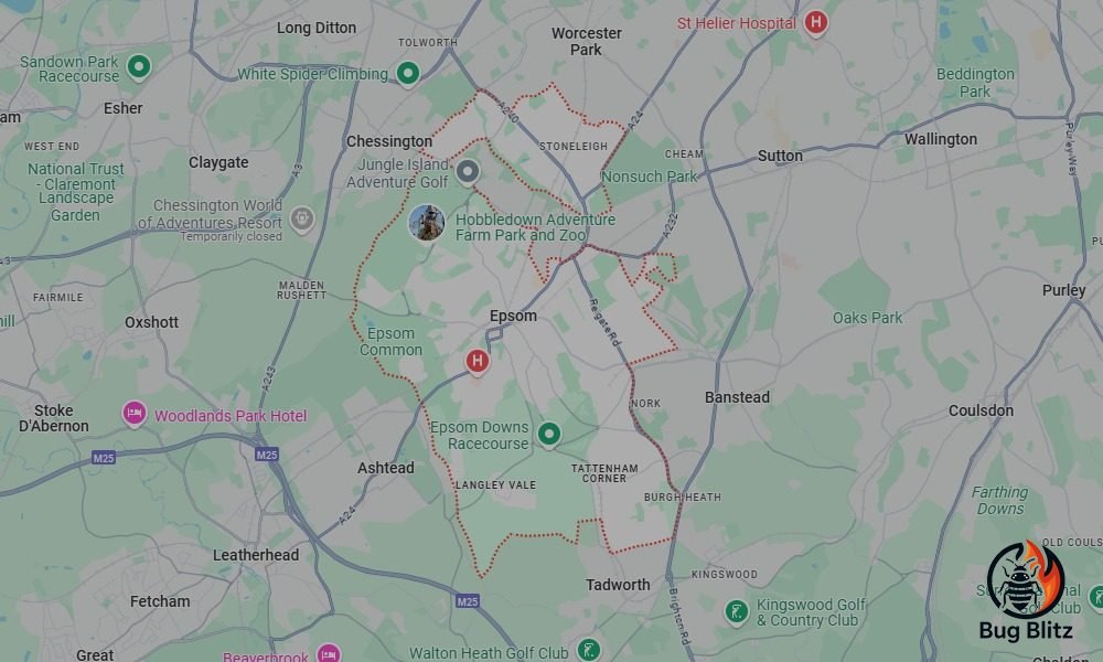 Bed Bug Heat Treatment Services for Epsom, Surrey