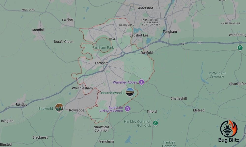 Bed Bug Heat Treatment Services for Farnham, Surrey