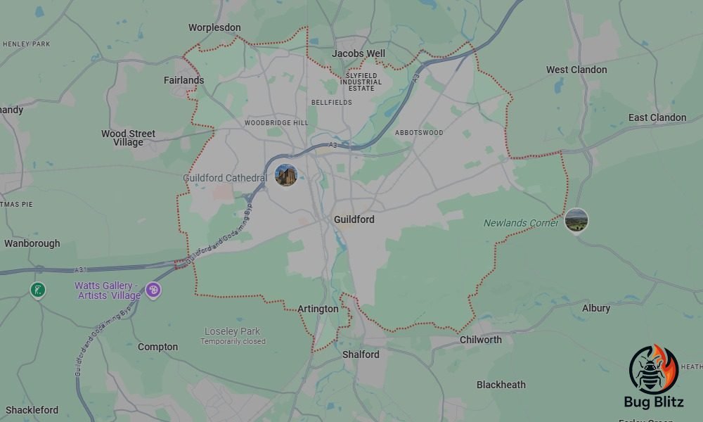 Bed Bug Heat Treatment Services for Guildford, Surrey