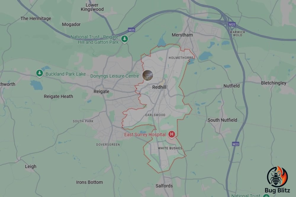 Bed Bug Heat Treatment Services for Redhill, Surrey