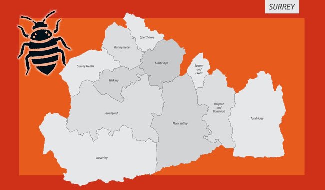 Areas in Surrey our Bed Bug Specialist Operate