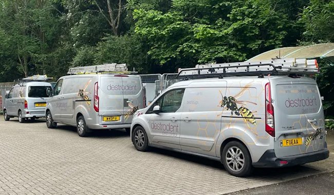 Professional Bed Bug Heat Extermination