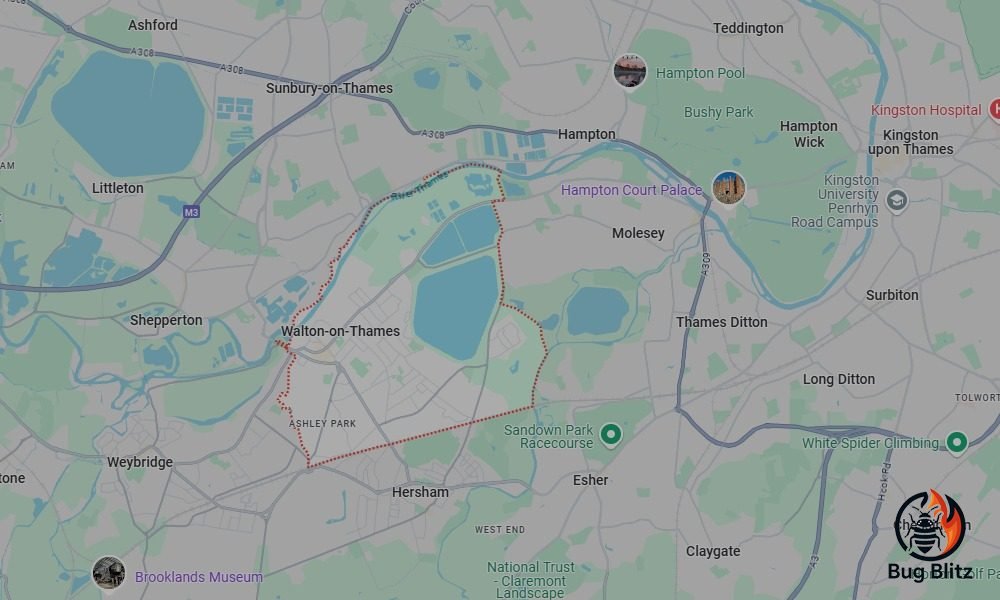 Bed Bug Heat Treatment Services for Walton-on-Thames, Surrey