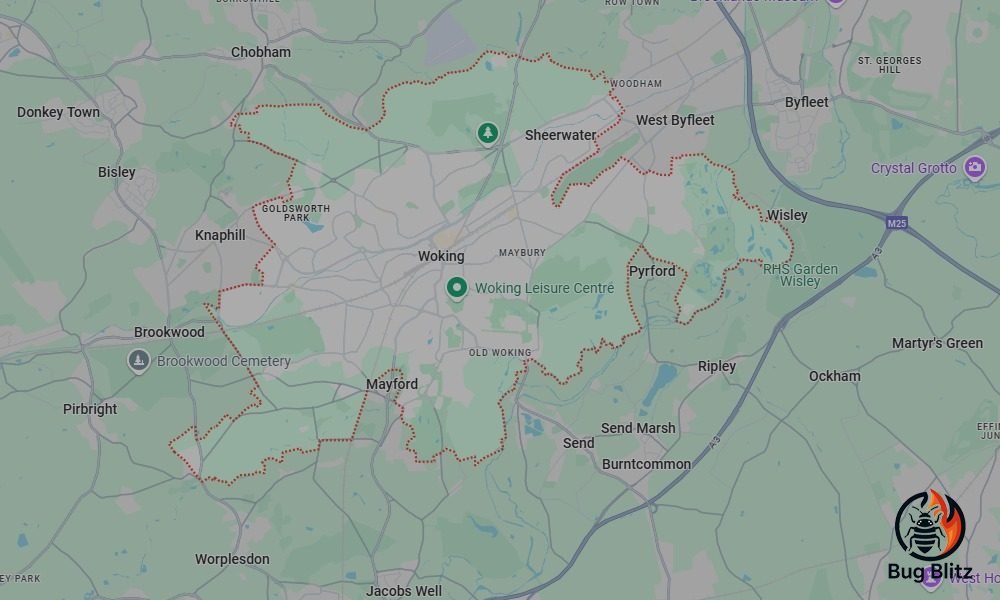 Bed Bug Heat Treatment Services for Woking, Surrey