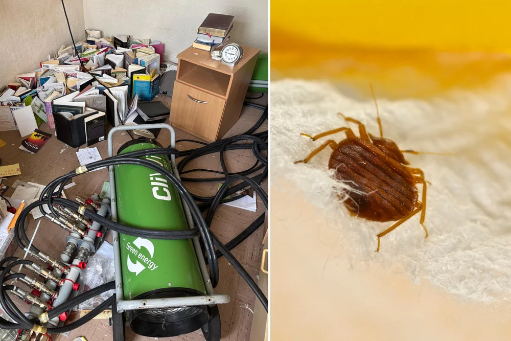 Why Bed Bug Heat Treatment Works When Everything Else Fails in Redhill