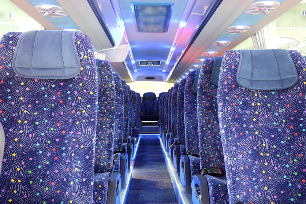 Bed bugs can crawl onto your clothes on public transport, and then make their way into your house