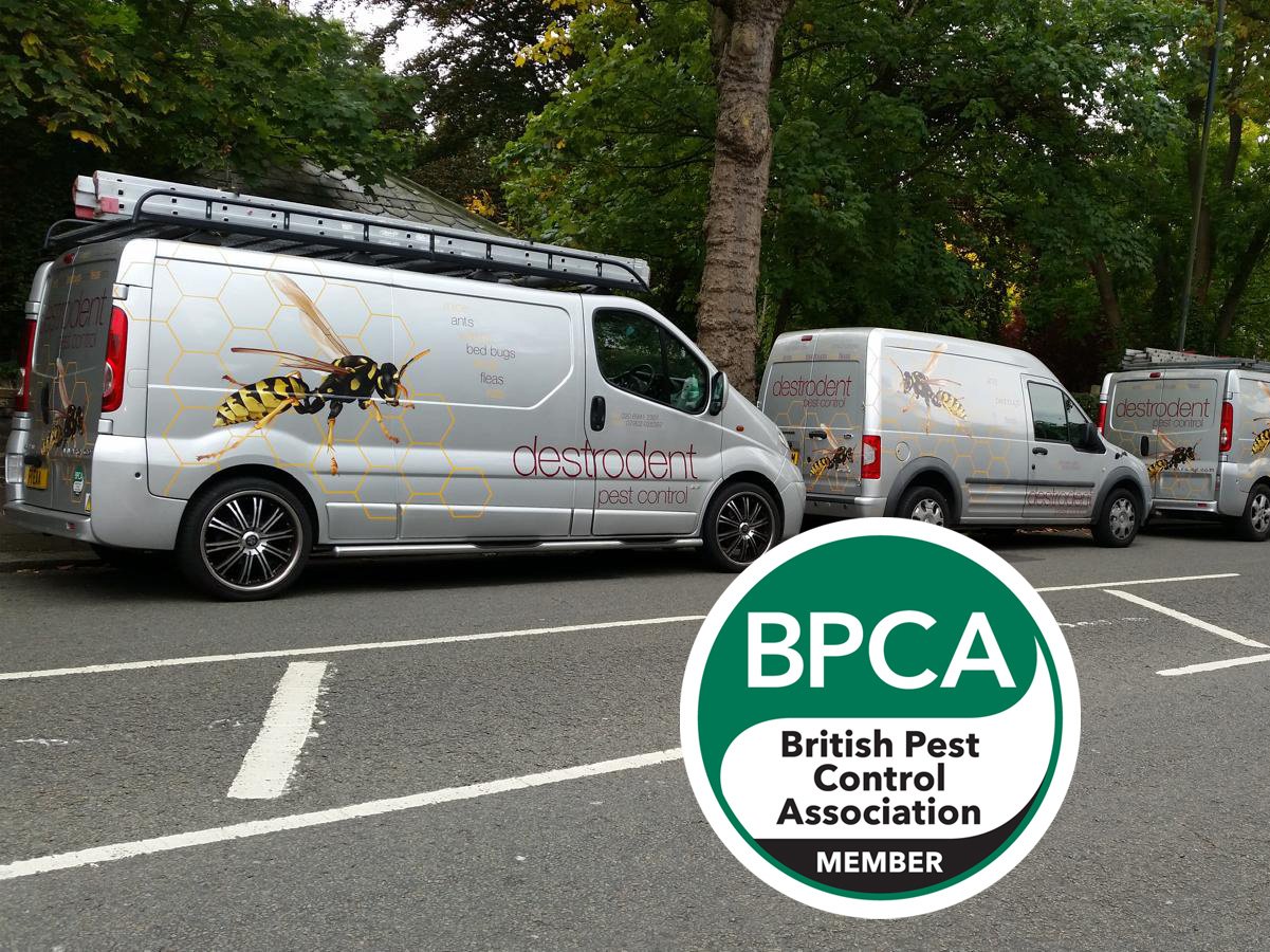 Certified British Pest Control Association Members