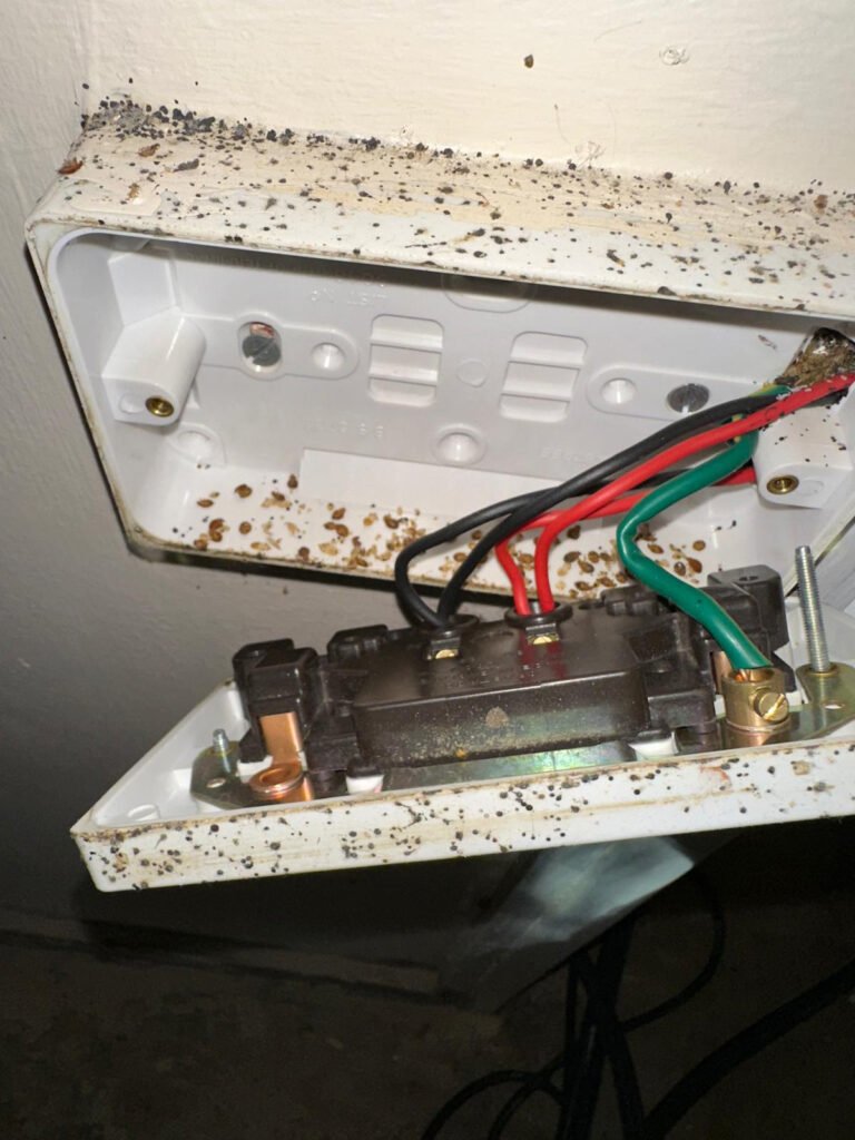 Is Bed Bug Heat Treatment Worth It?
